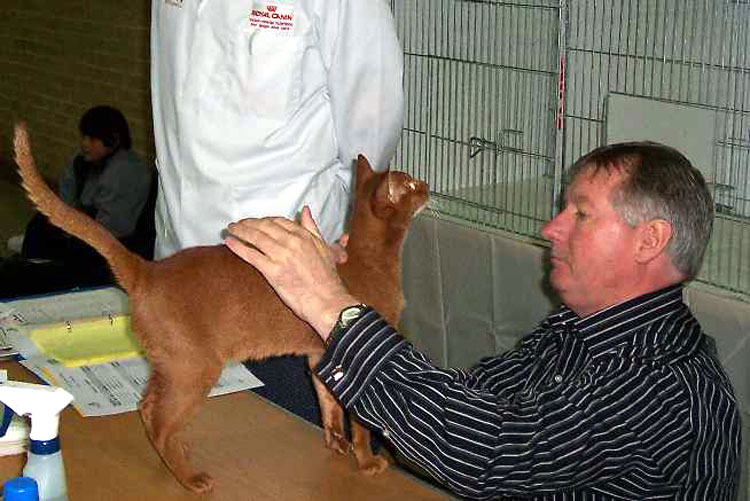 Albie Jobson judging an Aby at the show.