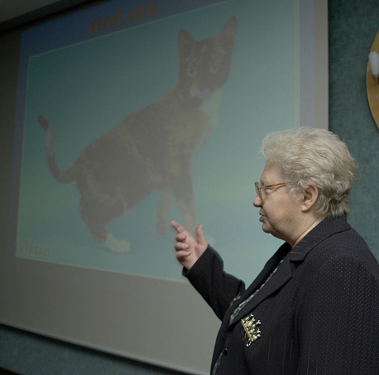 Olga Mironova, WCF all-breed judge from Russia introduced one of the WCF&rsquo;s newest breeds - the Ural Rex.