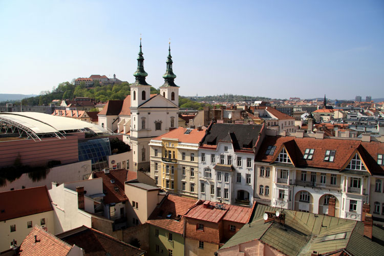 World Cat Congress, Brno, Czech Republic