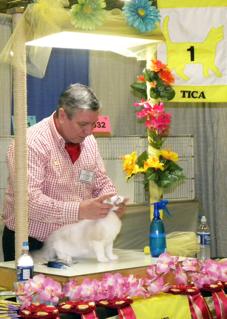 Eric Reijers, President of WCC judging.