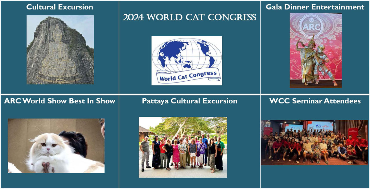 WCC highlights