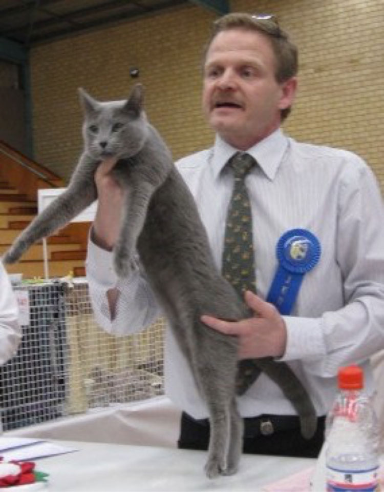 Saph GC Kimara Silva Leerah, the personification of the Australian-style Russian blue, pictured here with a delighted judge, Fabrice Calmes (FIFe).