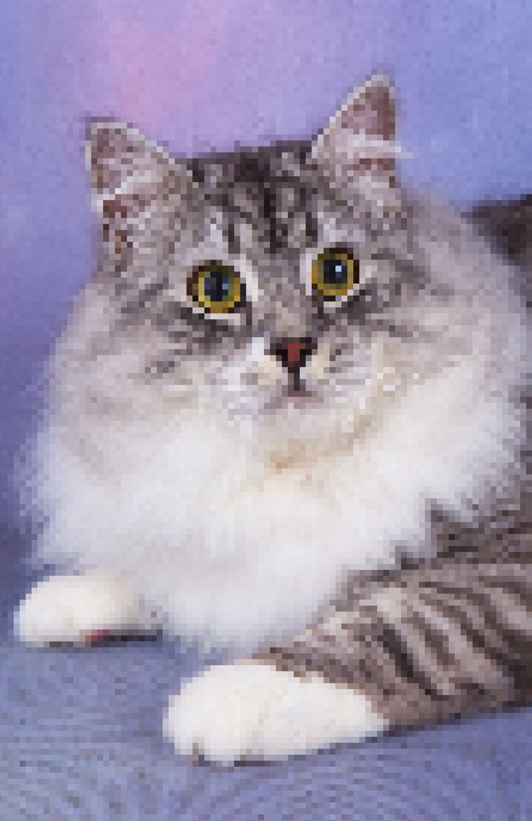 >Onisim Iz Lunnoy Serenady