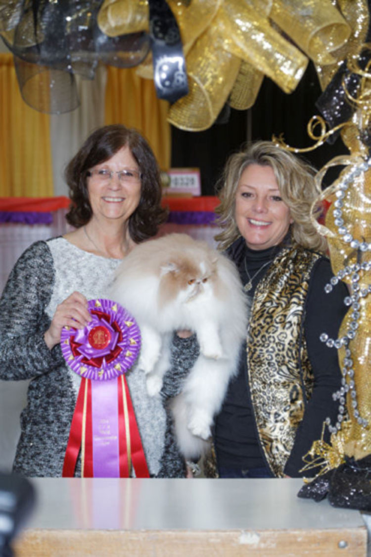 Best in Show was GC, GP, NW Velvetkist Pack’n Heat of Krimpurrs (“Frankie”), a cream and white Persian neuter who was 4 years/7 months old.