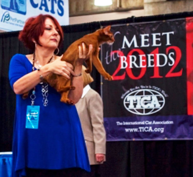 Meet the Breeds, co-hosted by the American Kennel Club in New York City
